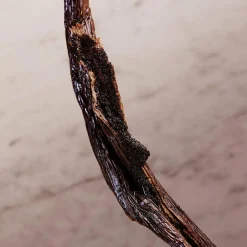 Olympea Deodorant Spray