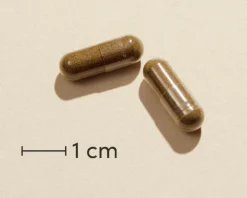 OmniVita® EchinaGold