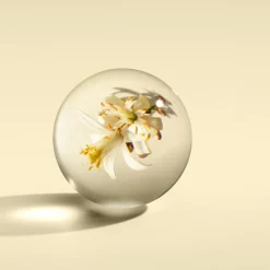 Orange & Bergamot Bath & Shower Gel