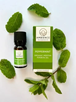Pebermynte Olie Økologisk