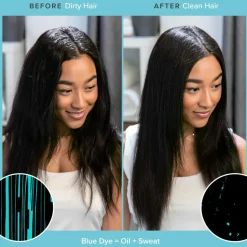 Perfect Hair Day Dry Shampoo