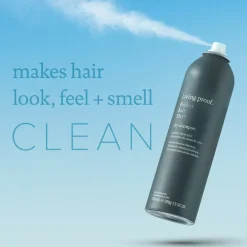 Perfect Hair Day Dry Shampoo