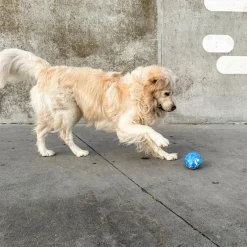 Planet Ball Naturgummi