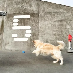 Planet Ball Naturgummi