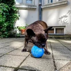 Planet Ball Naturgummi