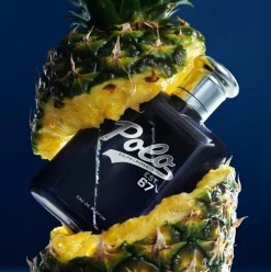 Polo 67 Eau de Parfum
