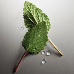 Pour Homme Eau de Parfum