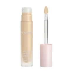 Power Plush Concealer