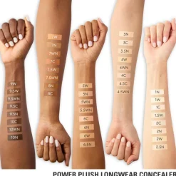 Power Plush Concealer