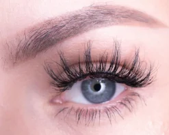 Premium BIO Collection