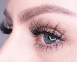 Premium BIO Collection