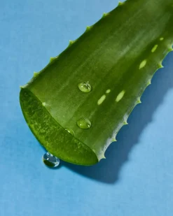 Protect & Care Deep Cleaning Face Wash