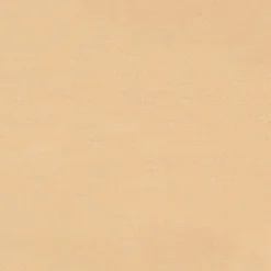 Radiant Touch Creamy Stick Highlighter