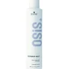 Ref.Dus Bodifying Dry Shampoo