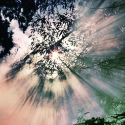 Replica When Rain Stops Eau de Toilette