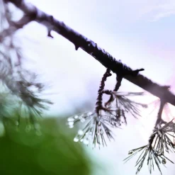 Replica When Rain Stops Eau de Toilette