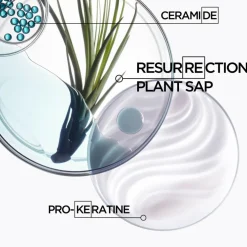 Resistance Bain Force Architecte Shampoo