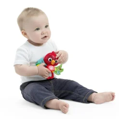 Roxys Aktivitetslegetøj med Ophæng