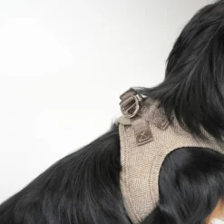 Saga Step-in Harness