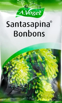 Santasapina Bolcher