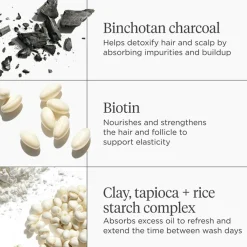 Scalp Revival Char + Biotin Dry Shampoo