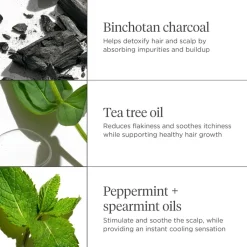 Scalp Revival Charcoal + Tea Tree Cooling Hydration Scalp Mask