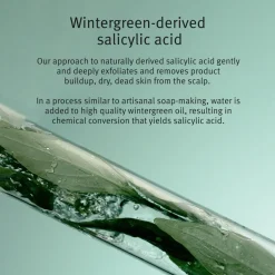 Scalp Solutions Exfoliating Scalp Treatment