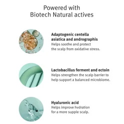 Scalp Solutions Overnight Recovery Serum