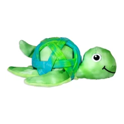 Sea Shell Turtle