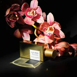 Silky Woods Eau de Parfum