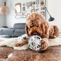 Stellar Ball Naturgummi