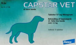 Tablet til Hund og Kat