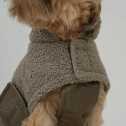 Teddy Dog Coat