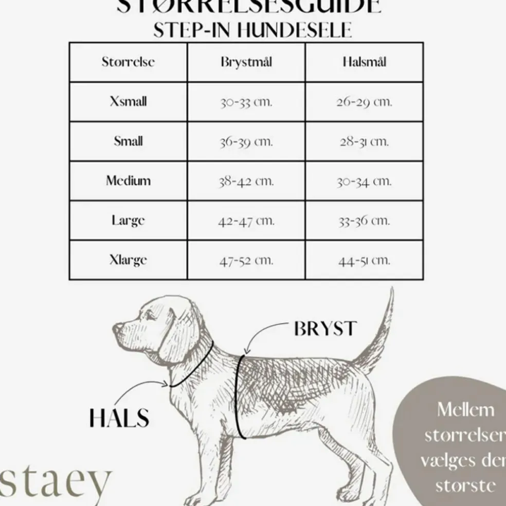 Teddy Step-in Harness