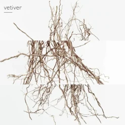 Terre d'Hermès Eau Intense Vetiver Eau de Parfum