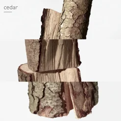 Terre d'Hermès Perfume