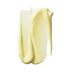 The Dream Mask – Ultra-Plumping + Restorative Night Mask