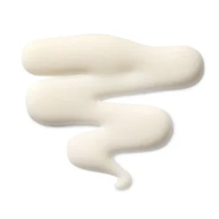 The Leave-in Hair Treatment