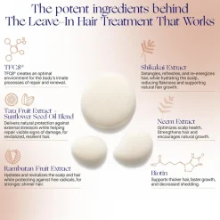 The Leave-in Hair Treatment