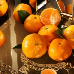 The One Eau de Parfum