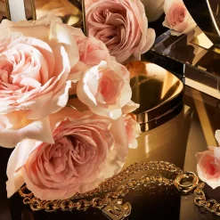 The One Eau de Parfum