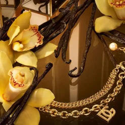 The One Eau de Parfum