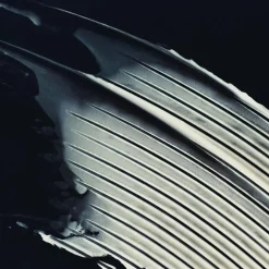 The Rejuvenating Night Face Cream