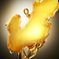 The Scent Eau de Toilette for Him