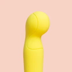 The Tennis Pro Vibrator