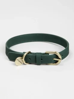 Thomas Hundehalsbånd