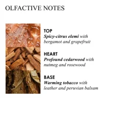 Tobacco Absolut Bath & Shower Gel