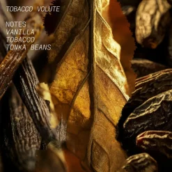 Tobacco Volute