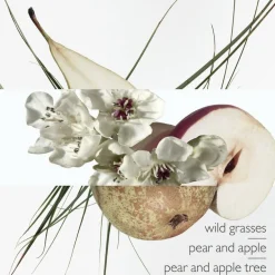 Un Jardin sur le Toit Eau de Toilette