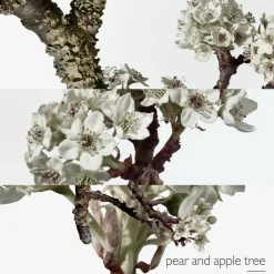 Un Jardin sur le Toit Eau de Toilette